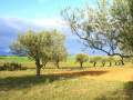 Entorno rural
