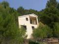 Casa en bosque de pinos
