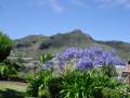 Panoramica montaña